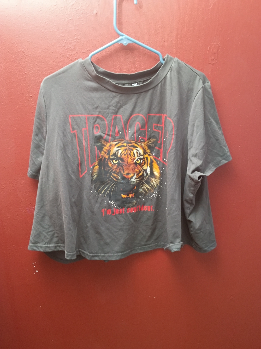 SHEIN Gray Cropped Tiger Graphic Tee
